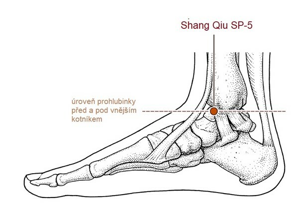 shang-qiu-SP-5