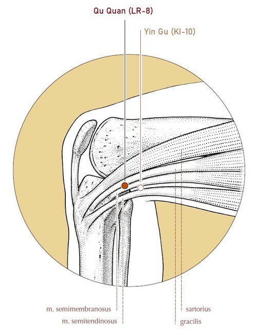 Qu Quan LR-8