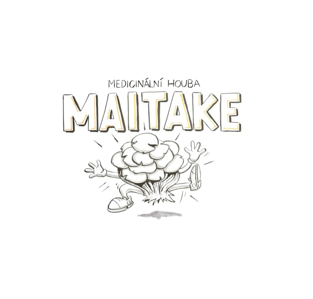 Vitln houby - Maitake