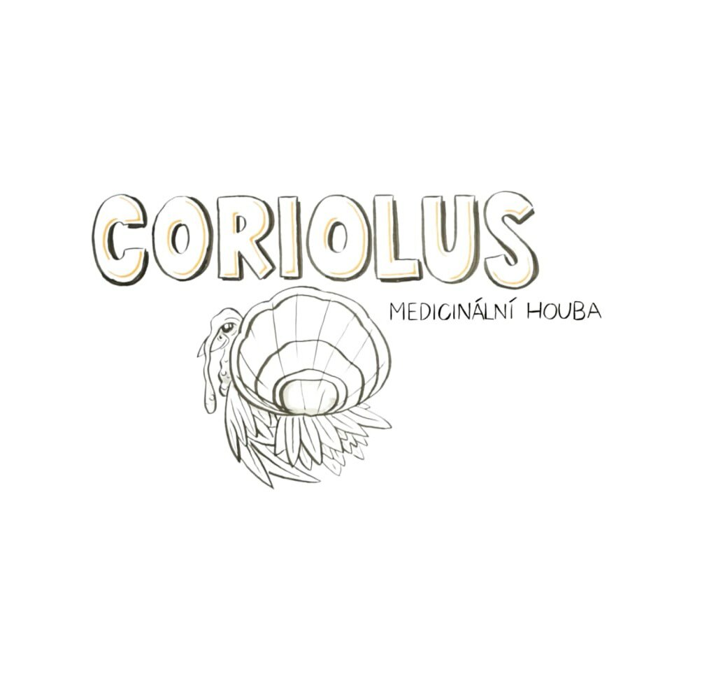 Vitln houby - Coriolus