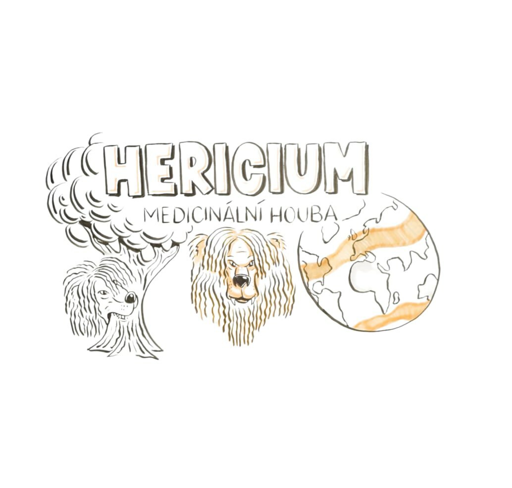 Vitln houby - Hericium