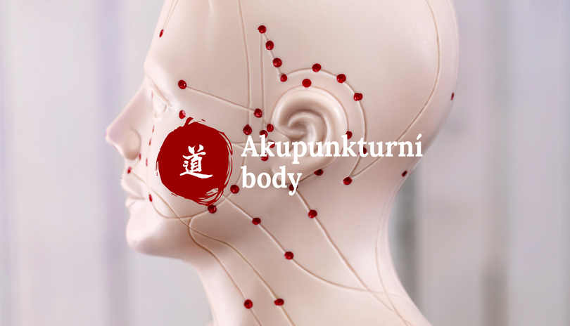 Mal atlas akupunktury - 37 dl - Qu Quan (LR-8)