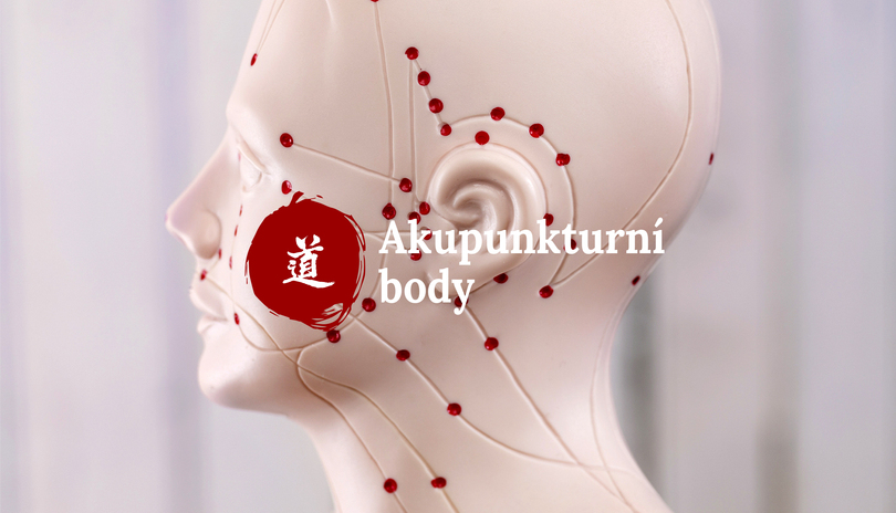 Mal atlas akupunktury - 38. dl  Mu body a Xi body