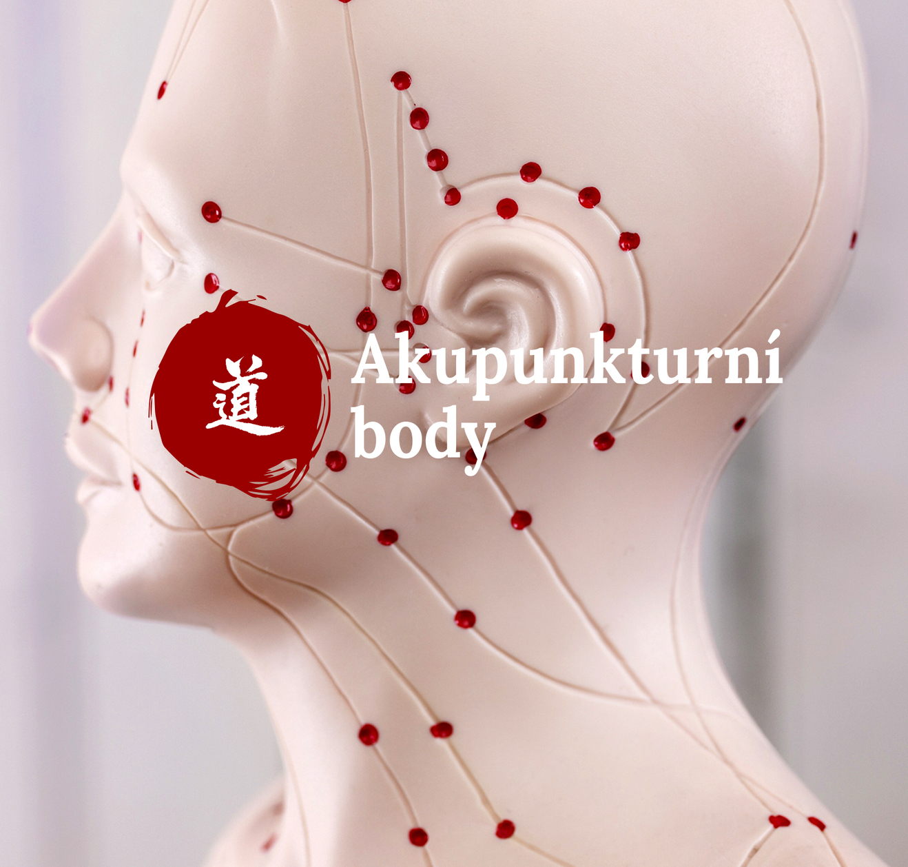 Mal atlas akupunktury - 40. dl  Yuan body (body pvodu)