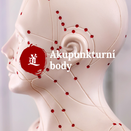 Mal atlas akupunktury - 40. dl  Yuan body (body pvodu)